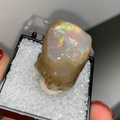 Collection image for: Opal