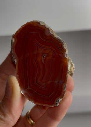 Condor Agate from Argentina