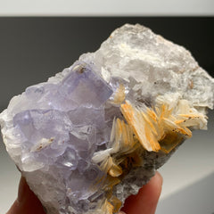 Collection image for: Berbes Fluorite