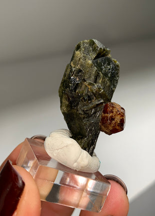 New Arrival ! Red Garnet var. Andradite with Glossy Epidote - From Mali DWS