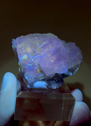New Arrival ! Galaxy Fluorite