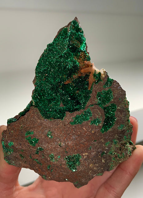 Green Brochanthite Geode Collection # 035