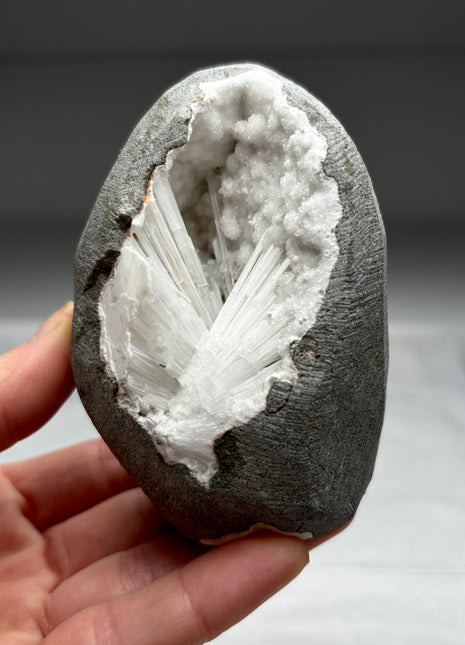 Scolecite Flower Geode with Druzy Quartz