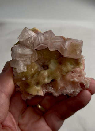Rare ! Pink Green Bicolor Halite