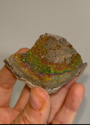 Spectropyrite Specimen from Volga River, Russia 🌈