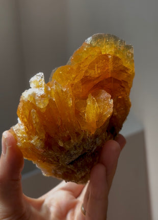 Finest ! Golden Honey Selenite from Peru 💎 PM0408