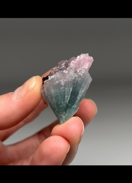 Pink Blue Bicolor Tourmaline Spray
