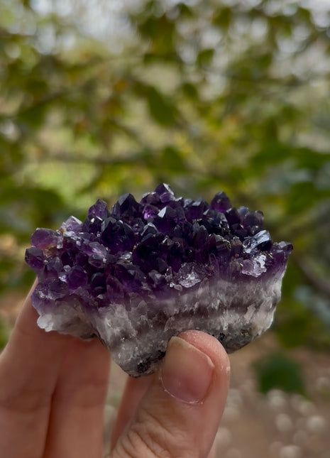 Wow ! Amethyst with Pyrite