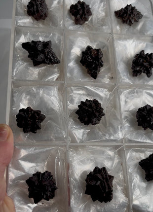 12 Pieces ! Prophecy Stone Lot