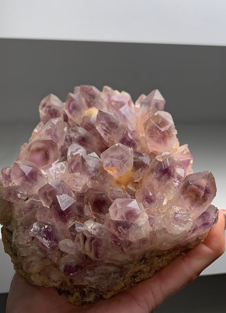 Stunning ! Amethyst with Yellow and Purple Phantoms - From Zambia