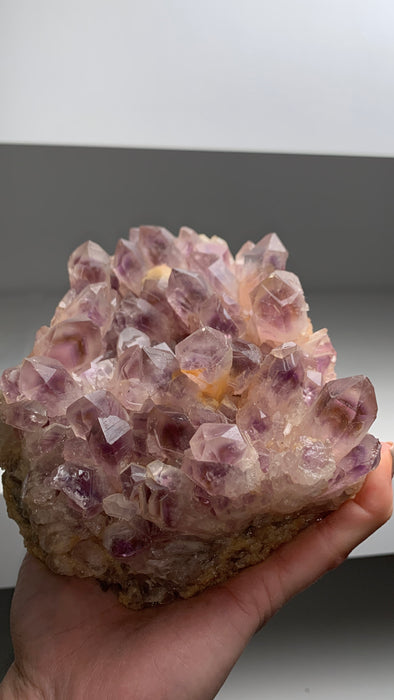 Stunning ! Amethyst with Yellow and Purple Phantoms - From Zambia