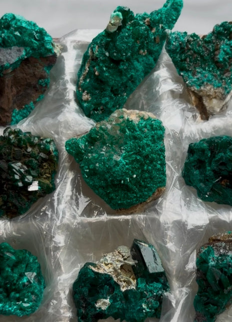 9 Piece Lot !  Green Dioptase Specimens