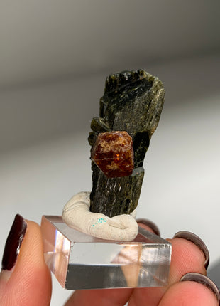 New Arrival ! Red Garnet var. Andradite with Glossy Epidote - From Mali DWS