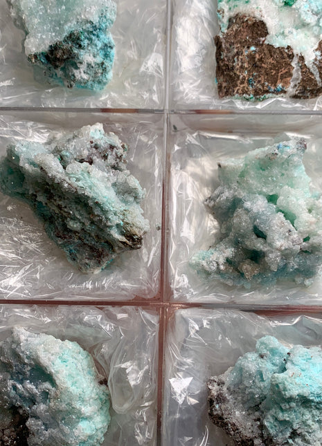 Rare Blue Aragonite Lot from Mexico - 6 Pieces !