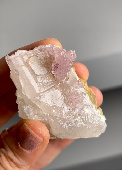 Rose Quartz Flower from Brazil