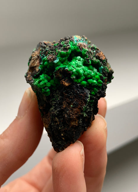 Vibrant Green Conichalcite ! From Spain