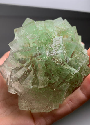 Rare Bicolor Transparent Green Halite - From Lubin mine, Poland