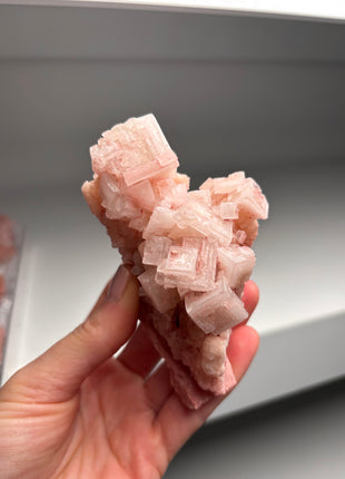 9 Piece Lot ! High Grade Pink Halite from Searles Lake, California