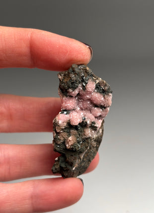 Pink Rhodocrosite - From Potosi mine