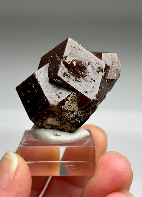 Chocolate Andradite Garnet