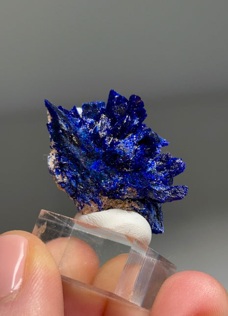 Rich Blue Azurite Specimen