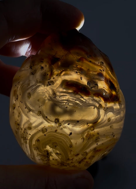 Rare Enhydro Agate PM1006