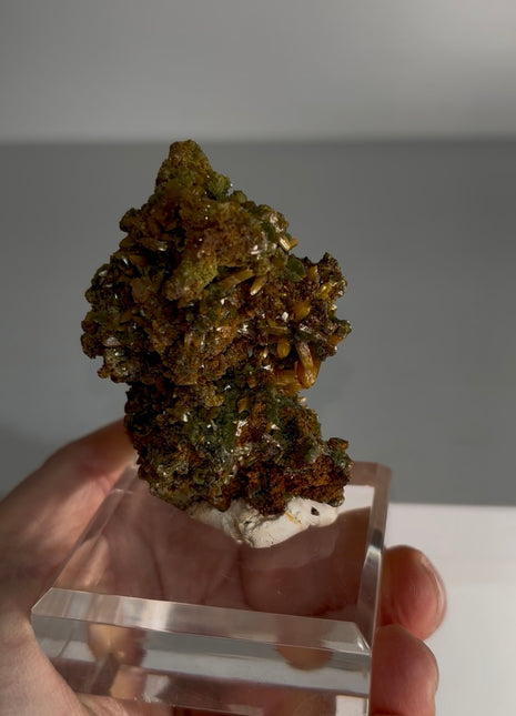 Wulfenite with Mimetite Specimen