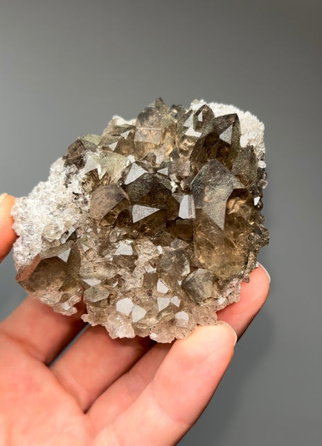 New ! Alpine Smoky Quartz