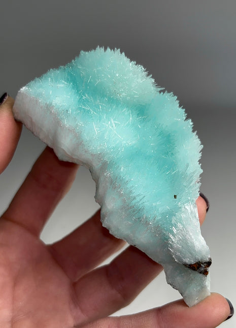 Dreamy Blue Aragonite