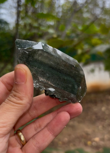 DT Himalayan Green Chlorite Quartz 💎