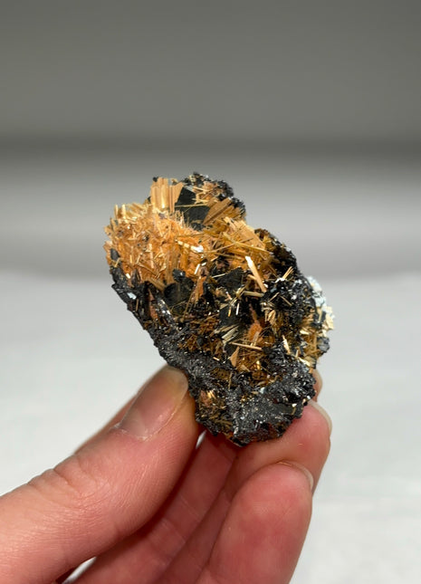 Golden Rutile with Metallic Hematite