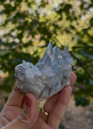 Sharp Crystals ! Sky Blue Celestite