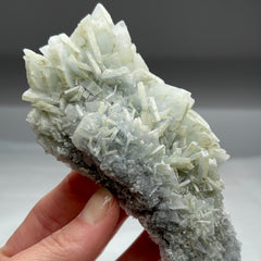 Collection image for: Weekly Specials