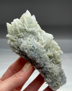 Collection image for: Weekly Specials