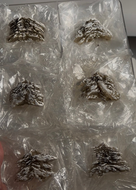 6 Pieces ! Selenite Xmas Tree Specimens Lot