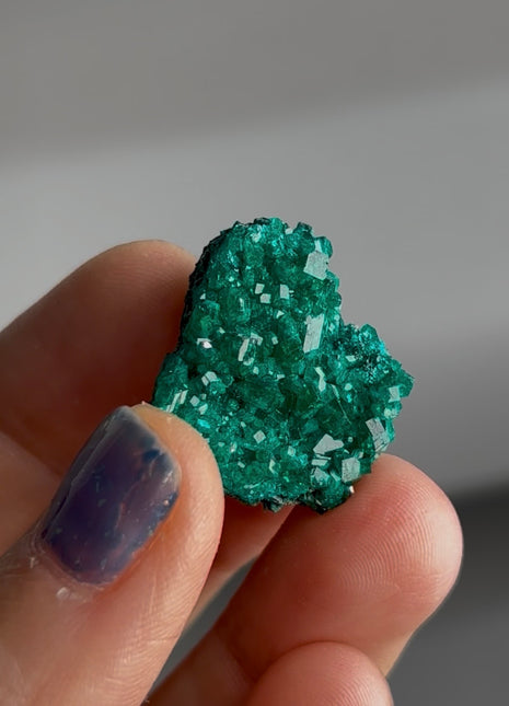 Green Dioptase Specimen PM1637