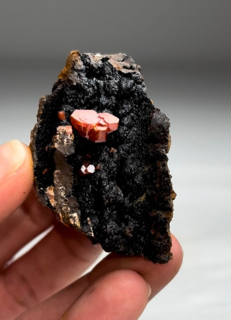 New Arrival ! Black Goethite with Red Vanadinite