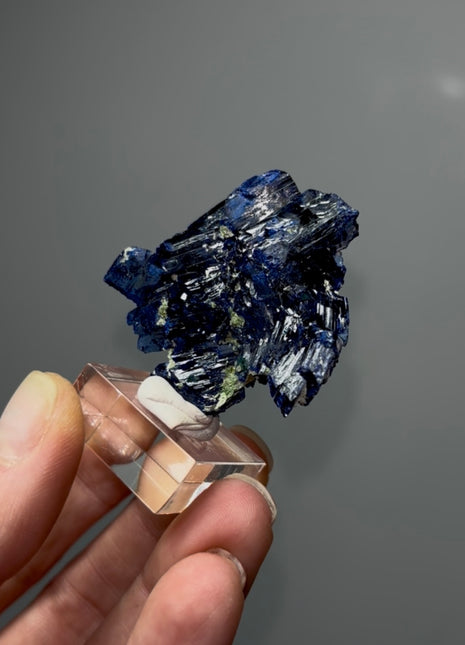 Blue Azurite from Tsumeb Collection # 623