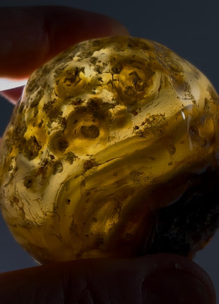 Rare Enhydro Agate PM1005