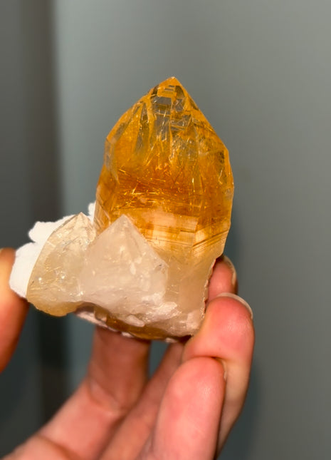 Gem 💎 Himalayan Rutile Quartz