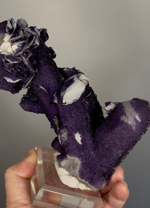 New ! Purple Fluorite Coated Quartz with Calcite