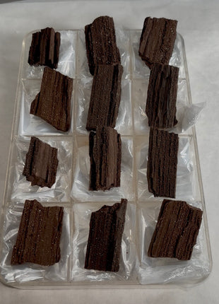 12 Pieces ! Permineralized Fossil Wood Fairy Wood Lot
