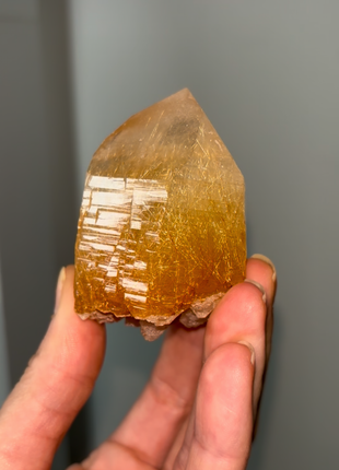 Gem 💎 Himalayan Rutile Quartz