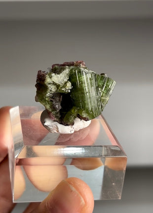 Watermelon Tourmaline Cruzerio, Brazil