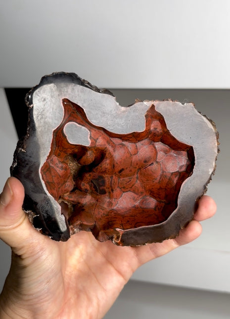 Red Fox Agate Geode from Argentina PM0832