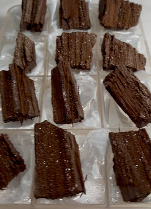 12 Pieces ! Permineralized Fossil Wood Fairy Wood Lot