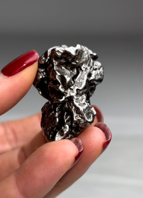 Campo del Cielo Meteorite