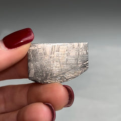 Collection image for: Muonionalusta Meteorite