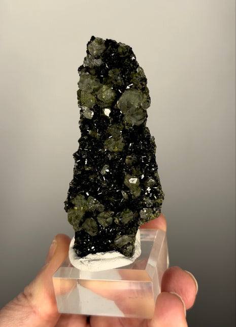 Extra Dark Forest Green Epidote with Quartz