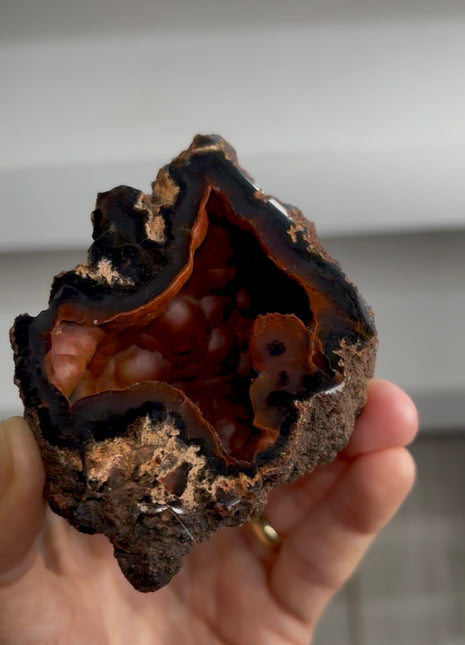 Red Fox Agate Geode from Argentina